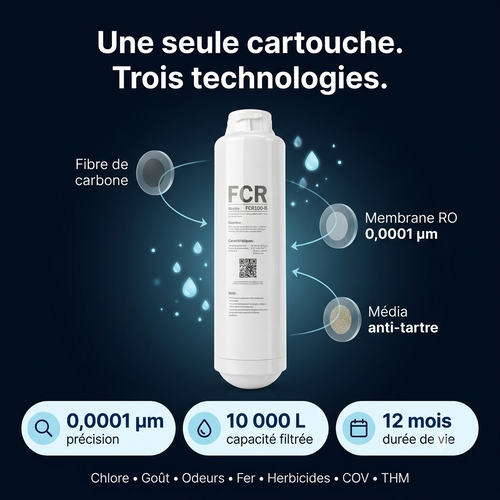 Cartouche de rechange FCR100-B  Filtre RO pour Osmoseur ILLEA